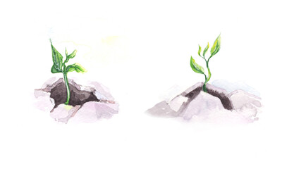 Plant growing from the ground. Strength and power to life. Watercolour painted 