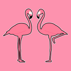 Set of Flamingo bird, Bird vector illustration, eps10 vector format.	