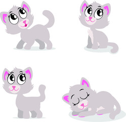 A cute grey cat in four adorable poses.