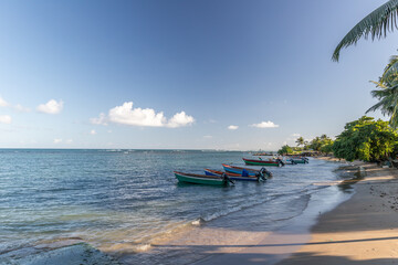 Fishing boats in water in Trinite, Martinique, France