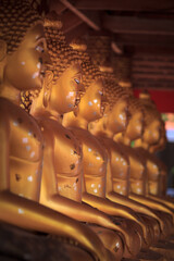 Many Buddha images in the temple
