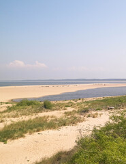 Baltic Sea Coast on Sobieszewska Island. The estuary of the Vistula River.