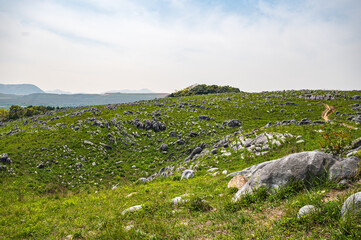 5月の柔らかな光と緑の平尾台【福岡県】
