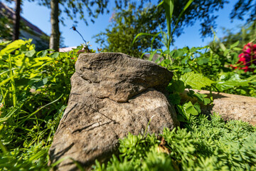Large stone lying on the green grass, close-up, shallow depth of field, selective focus. Nature concept in kind