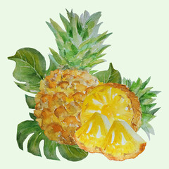 Summer tropical fruits. Watercolor drawing. Large ripe whole pineapple, half and slices in tropical leaves. Healthy diet, vegan food.