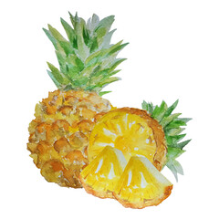 Summer tropical fruits. Watercolor drawing. Big ripe whole pineapple, half and slices. Healthy food, vegetarian food.