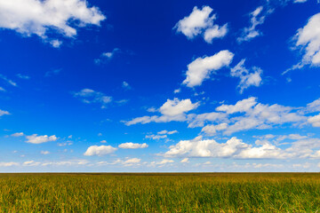 The open landscape of the Everglades in south Florida.