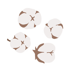 Cotton flowers buds. Cotton flower for wedding invitation, greeting card, label, logo, branding. Natural, eco, organic, softness, cleanliness, high quality concepts. Flat elegant illustration.