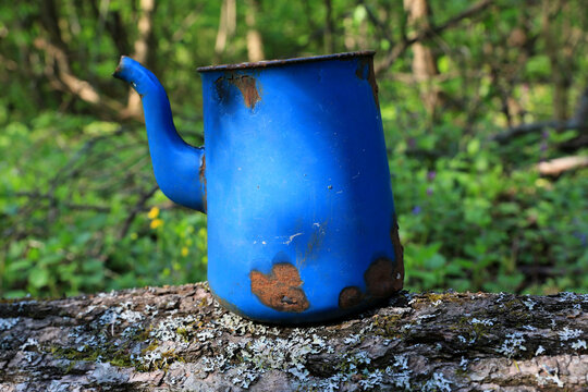 old lost blue ketle in forest