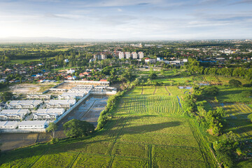 Aerial view of rice field and housing estate in Chiang Mai province of Thailand.