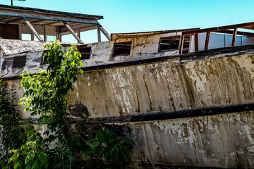 Fototapeta premium green trees and old aground ship. plants in the boat. nature and marine theme