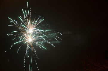 fireworks in the night sky