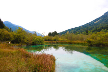 Zelenci nature reserve in autumn in Triglav national park. Kranjska Gora, Slovenia.