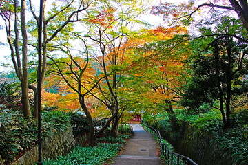 autumn leaves in Katsuo-ji temple, Minoh, Osaka, Japan 4