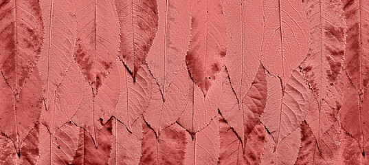 Pattern of autumn leaves. Stylization fall leaves. High detail. 