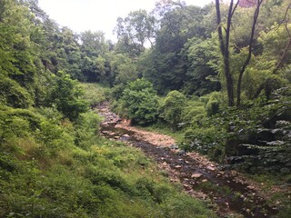 view from the mountain