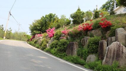 road in the countryside