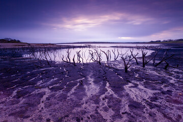 colliford lake Cornwall england uk near bodmin 