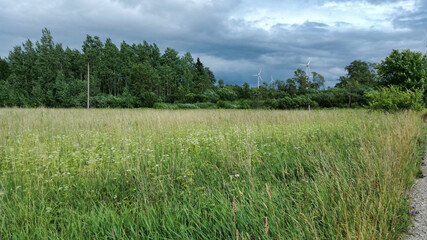 Obraz premium Landscape: meadow, trees, gray clouds, windmills.