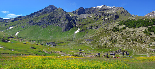 Fototapeta na wymiar The alpine scenic landscapes of mountains, meadows and flowers at Dondena, Aosta Valley, Italy in the natural reserve of Mount Avic.