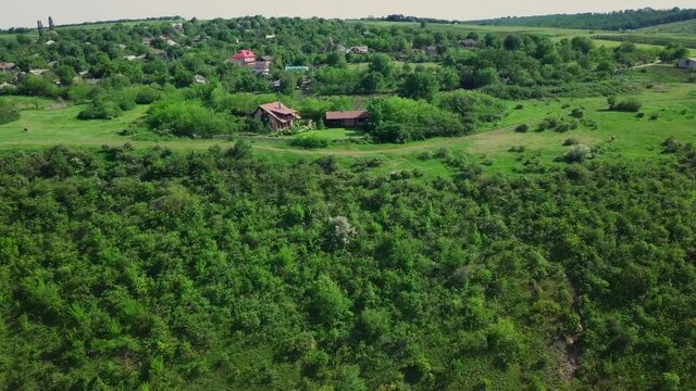 Flying over a great forest with the view of a little village in the horizon.