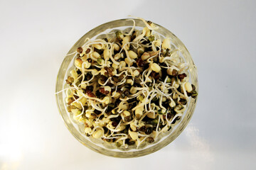 Fresh Sprouted green gram isolated with white background. Fresh, healthy sprouted mung dal or moong beans. 