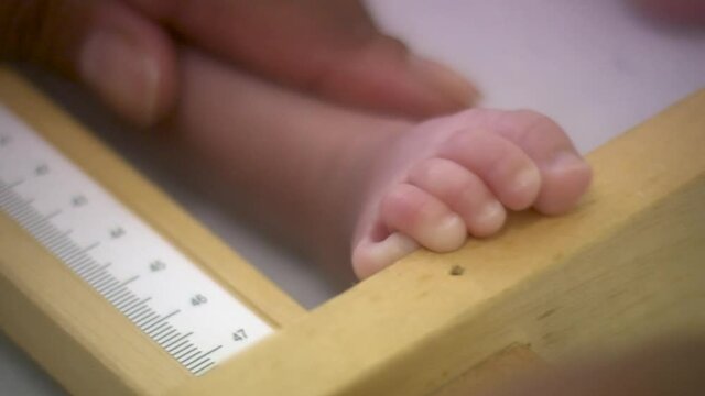 Pediatric doctor examines child. Measuring size.