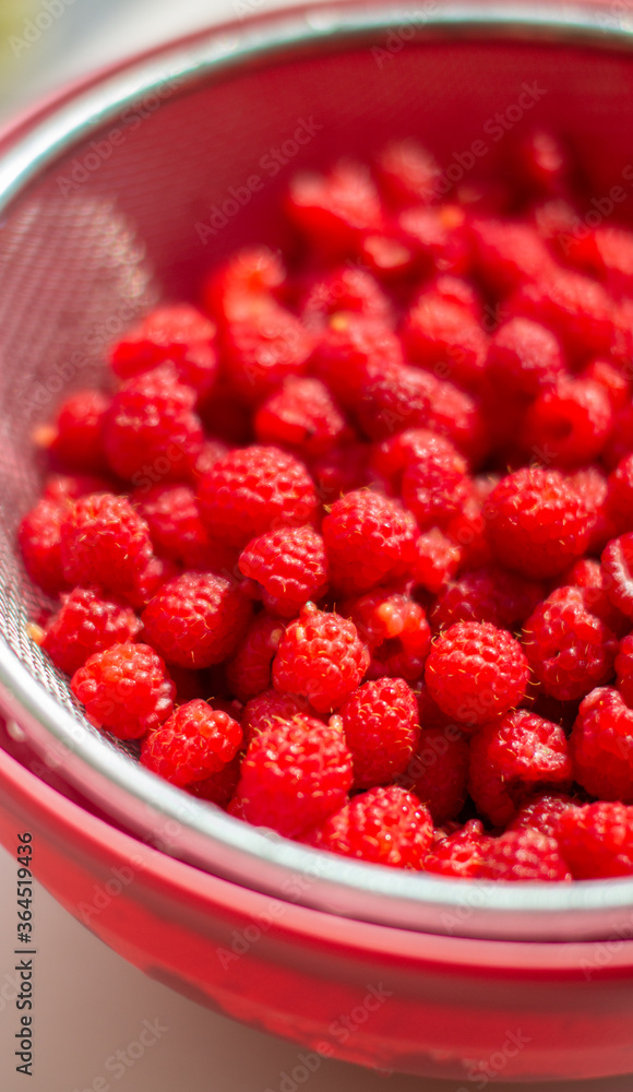 Poster Red raspberry berry in a bucket. The view from the top