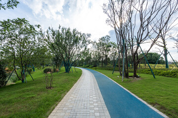 road in park