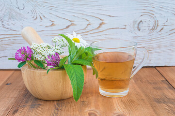 Herbal medicine and health care concept; Medicinal plants in wooden mortar and glass mug of herbal tea