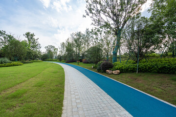 road in park