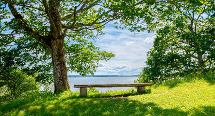 View from a bench under a tree by a lake