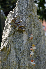 friedhof, grabdekoration