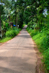 Nice scenery road in kerala