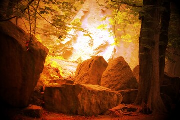 Gesteinsformation im Wald am Drachenfels in Königswinter / Deutschland