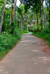 road view in kerala