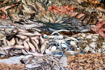 Various Fish, Crabs and Shrimps on a Fish Market Counter at Night Time