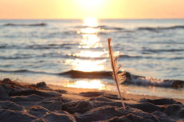 sunset on the beach © Marta