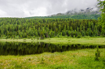 St. Moritz, Stazersee, Badesee, Bergsee, Lej da Staz, Stazerwald, Pontresina, Oberengadin, Engadin, Alpen, Wanderweg, Sommer, Graubünden, Schweiz