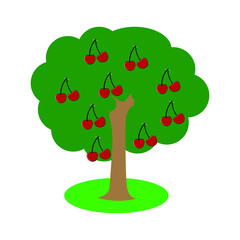 The cherry tree on white background. Vector illustration