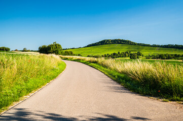 The road surrounded by the green field under the blue sky