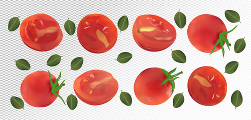 Collection red of tomato with leaves on transparent background. Tomato flying are whole and cut in half. Useful ripe fresh tomato. Natural product. Realistic vector illustration.