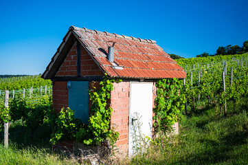 A closeup shot of a small house in a vineyard