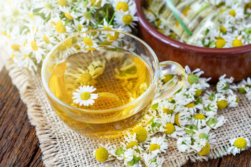 cup of herbal chamomile tea and daisy flowers. doctor treatment and prevention of immune concept, medicine - folk, alternative, complementary, traditional medicine