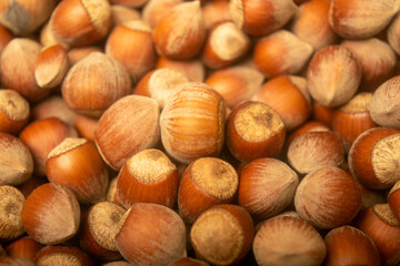 Hazelnuts in bulk. Surface texture. Close up.