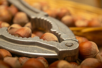 A scattering of hazelnuts and a Nutcracker on the background of burlap with a rough texture. Close...
