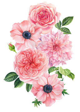Bouquet of flowers on a white background. Watercolor delicate flowers anemones, roses, dahlias