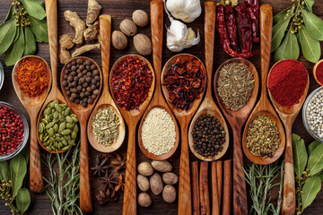 Background of variety of different vivid spices in wooden spoons