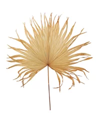 trockene Pflanze im Keramiktopf isoliert auf weißem Hintergrund. Details des modernen Boho, tropischen, böhmischen Stils. Öko-Design-Interieur © macau