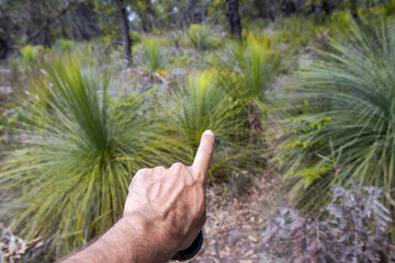 Fototapeta na wymiar Male finger indicating direction on a countryside trail